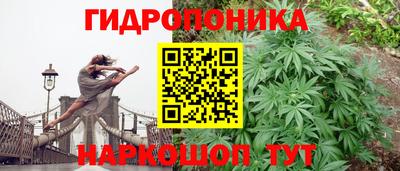 крисы Конаково